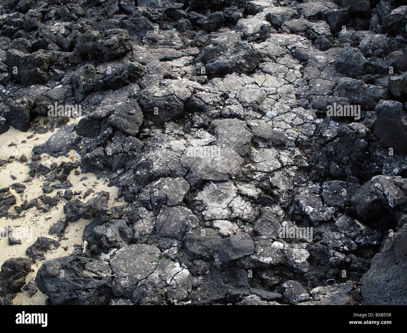 Le bitume sur une côte rocheuse à la suite d'un déversement de pétrole, Lanzarote, Canary Islands, Spain, Europe Banque D'Images
