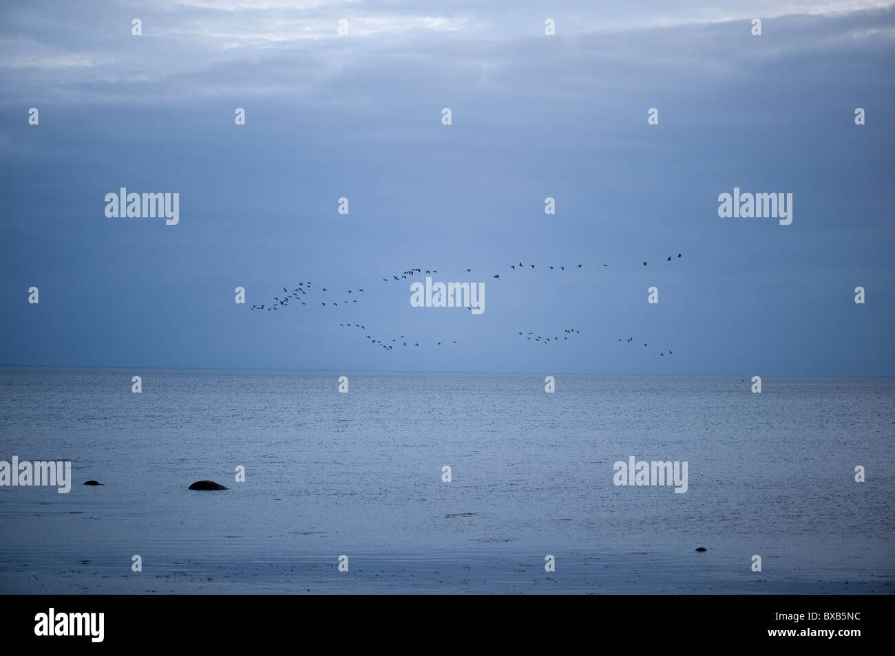 Paysage marin Banque D'Images