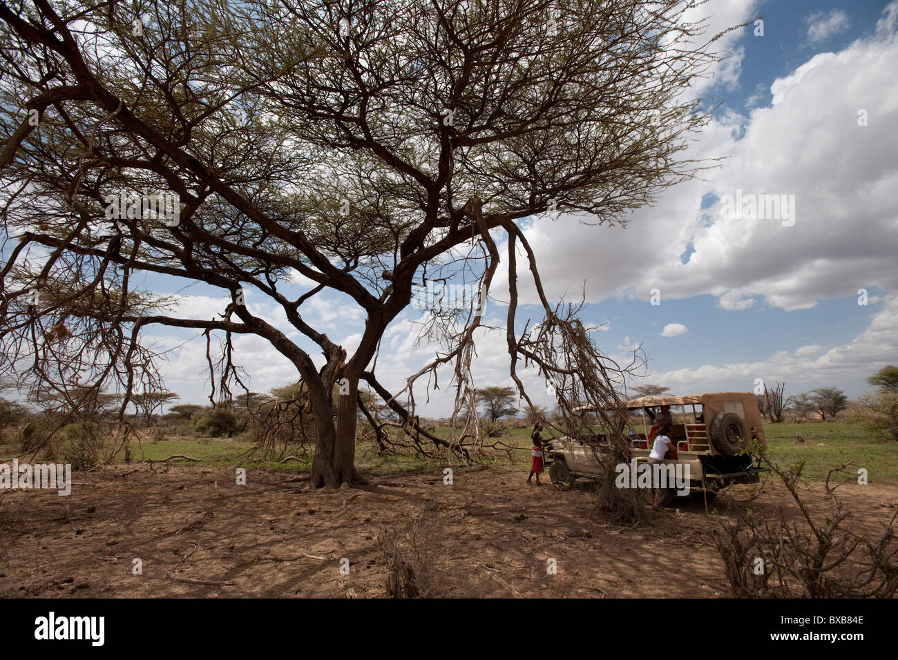 La Réserve nationale de Samburu au Kenya Banque D'Images