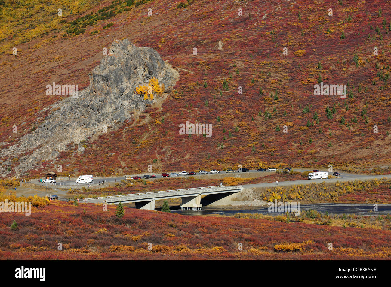 Rivière Sauvage, le parc national Denali, Alaska Banque D'Images