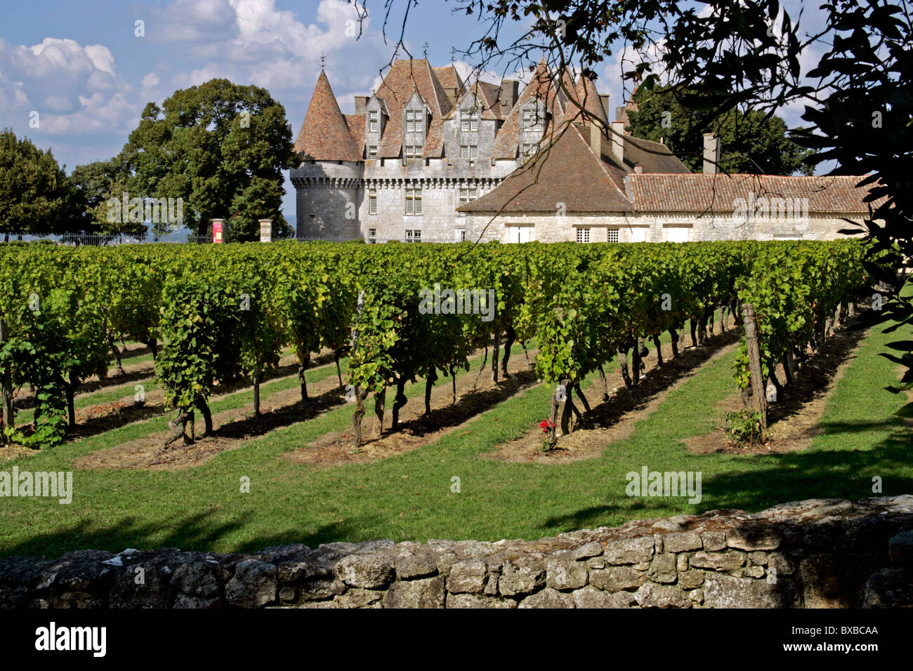 Chateau vignoble de Monbazillac, Dordogne, Aquitaine, France, Europe Banque D'Images