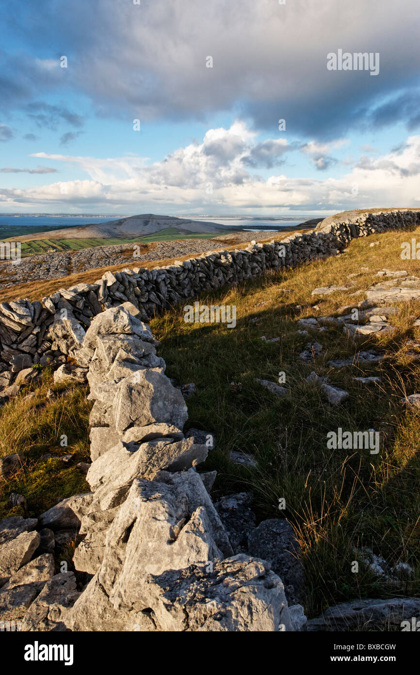 Murs de pierres sèches sur Turlough Hill, le Burren, comté de Clare, Munster, Irlande. Banque D'Images