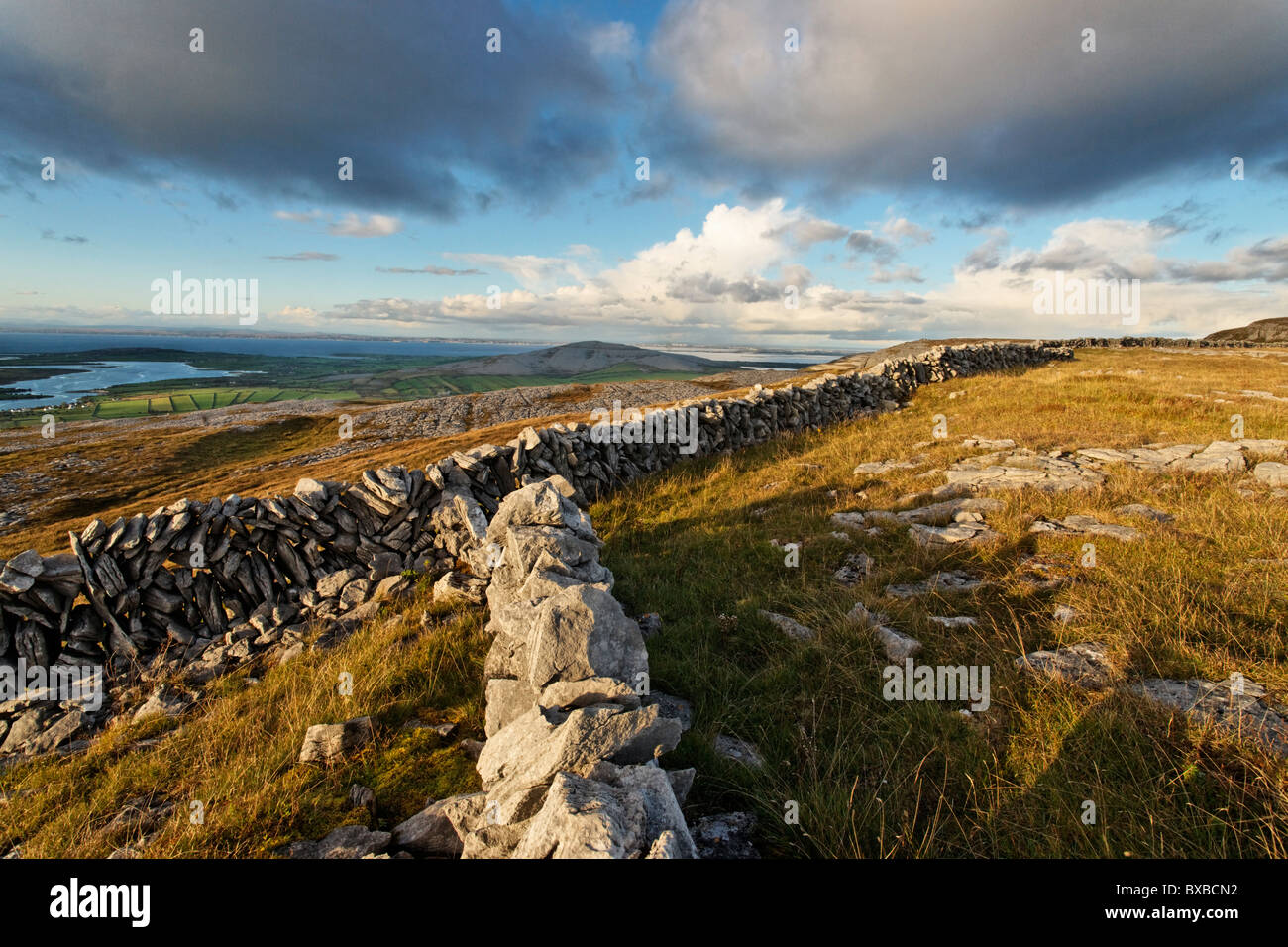 Murs de pierres sèches sur Turlough Hill, le Burren, comté de Clare, Munster, Irlande. Banque D'Images
