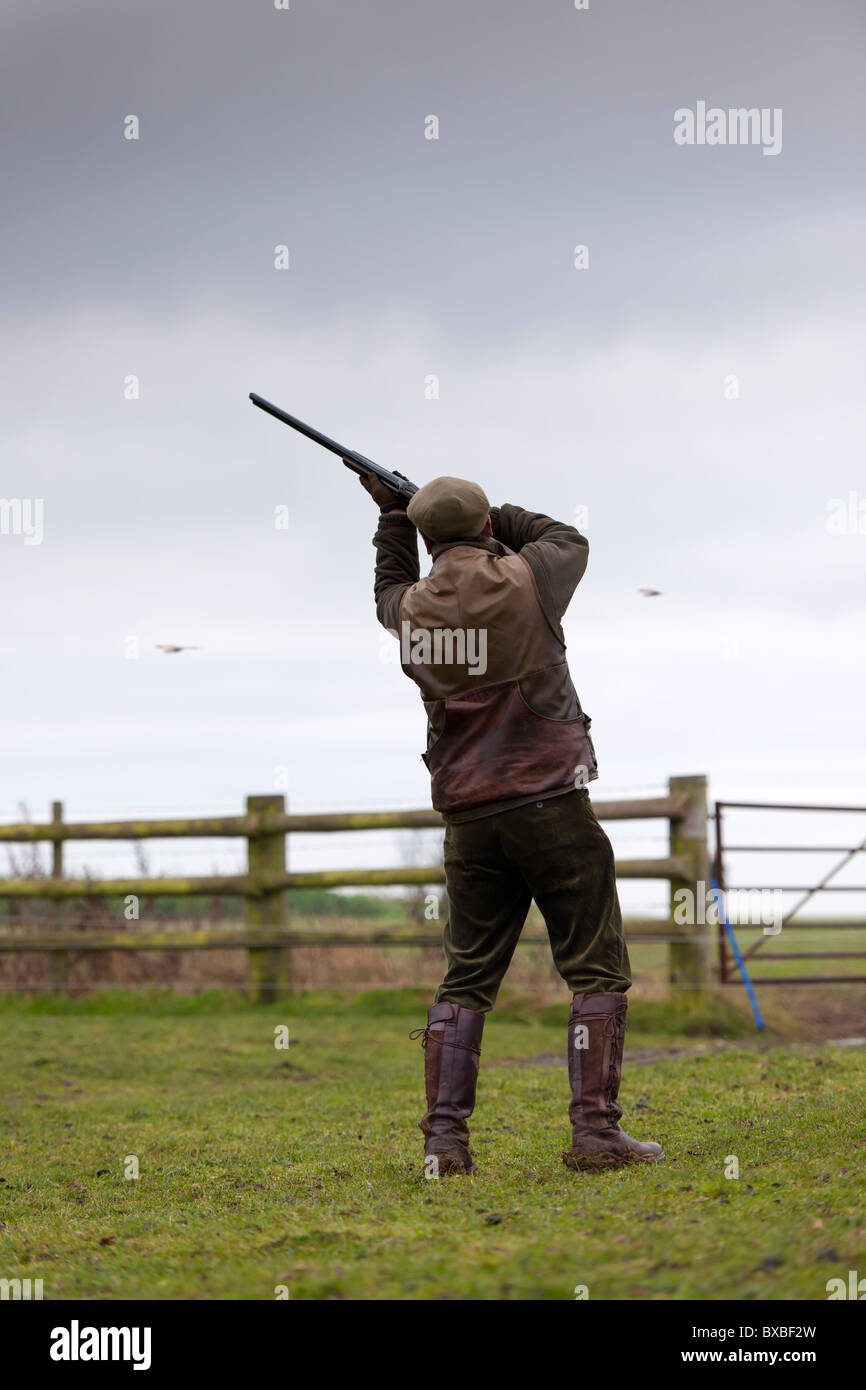 Le Pheasant Shoot Banque D'Images