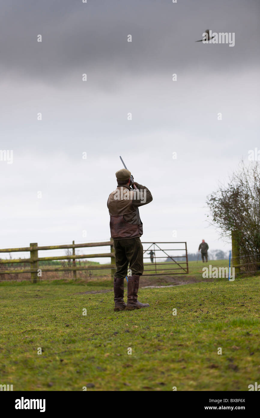 Le Pheasant Shoot Banque D'Images