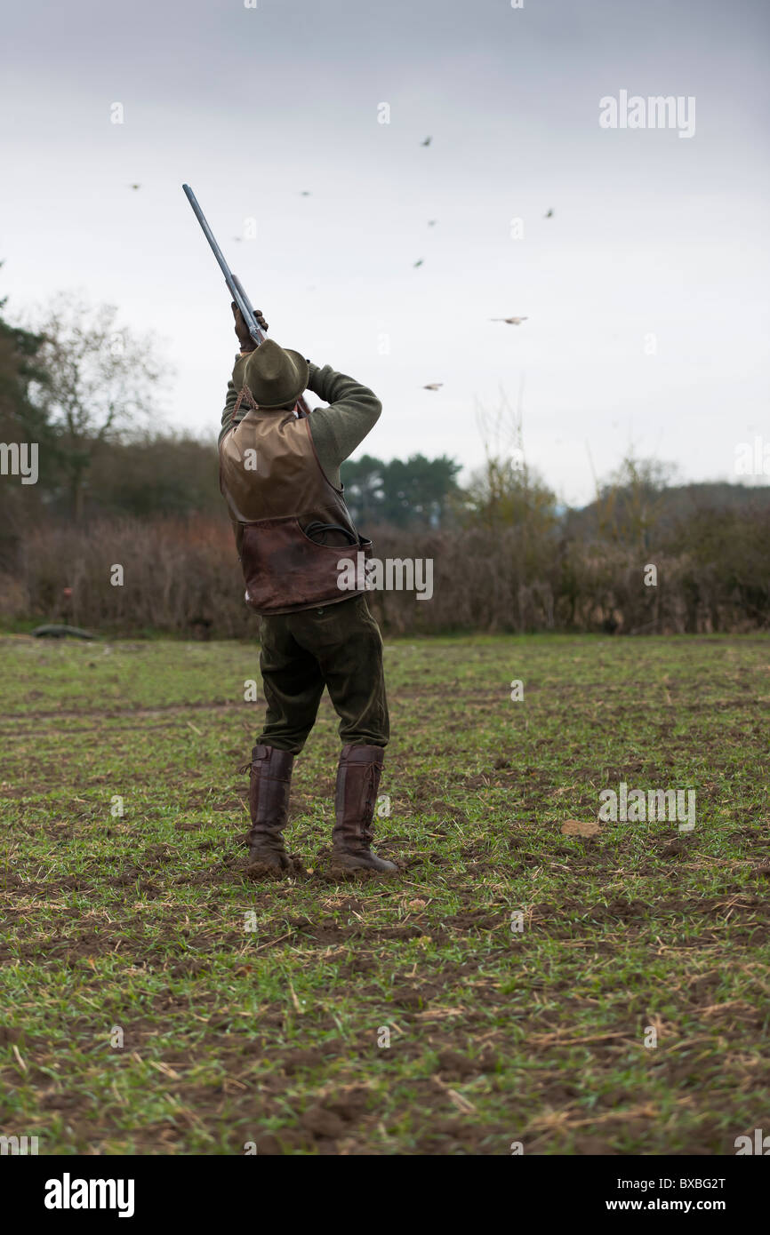 Le Pheasant Shoot Banque D'Images