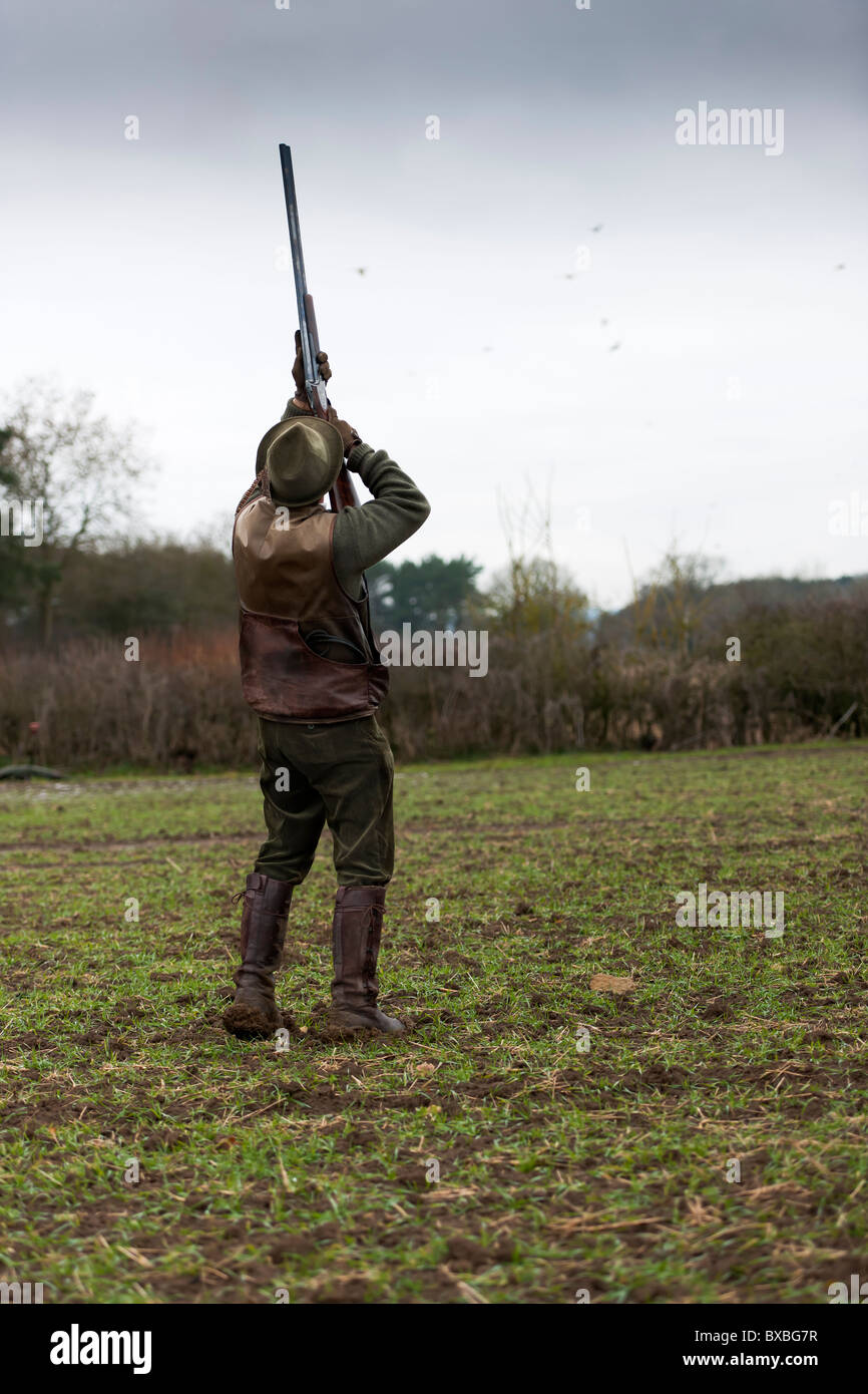 Le Pheasant Shoot Banque D'Images