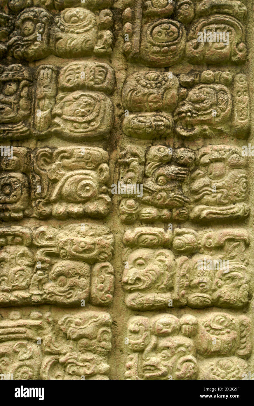 Les glyphes mayas sur une stèle au les ruines Maya de Copan, Honduras. Copan est un UNESCO World Heritage Site. Banque D'Images