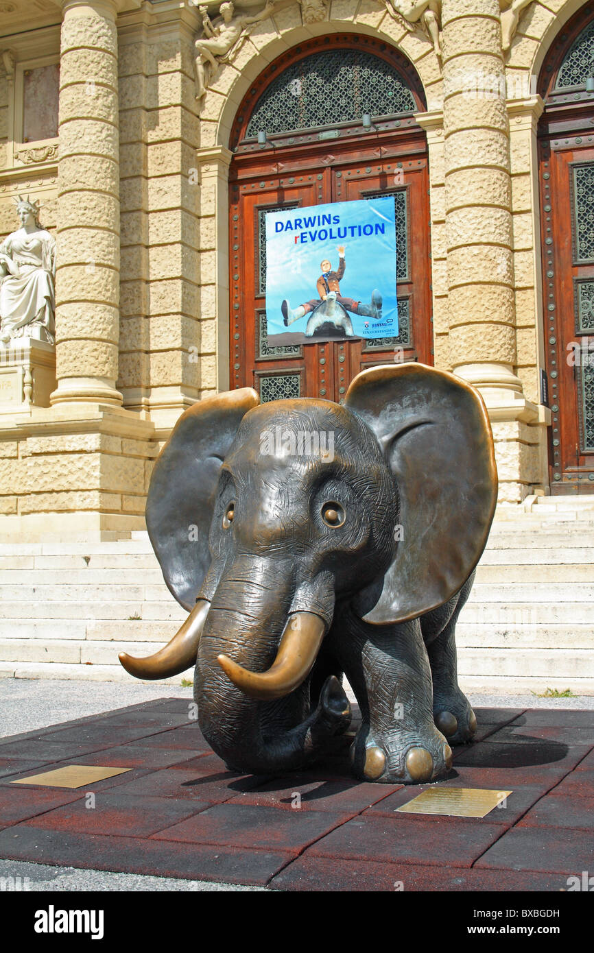 Musée d'Histoire Naturelle (Naturhistorisches Museum), Vienne Banque D'Images