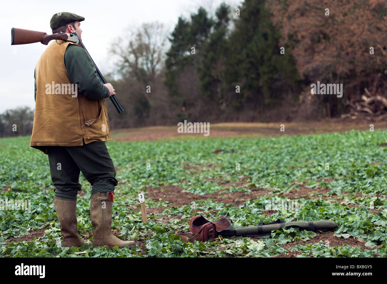 Le Pheasant Shoot Banque D'Images