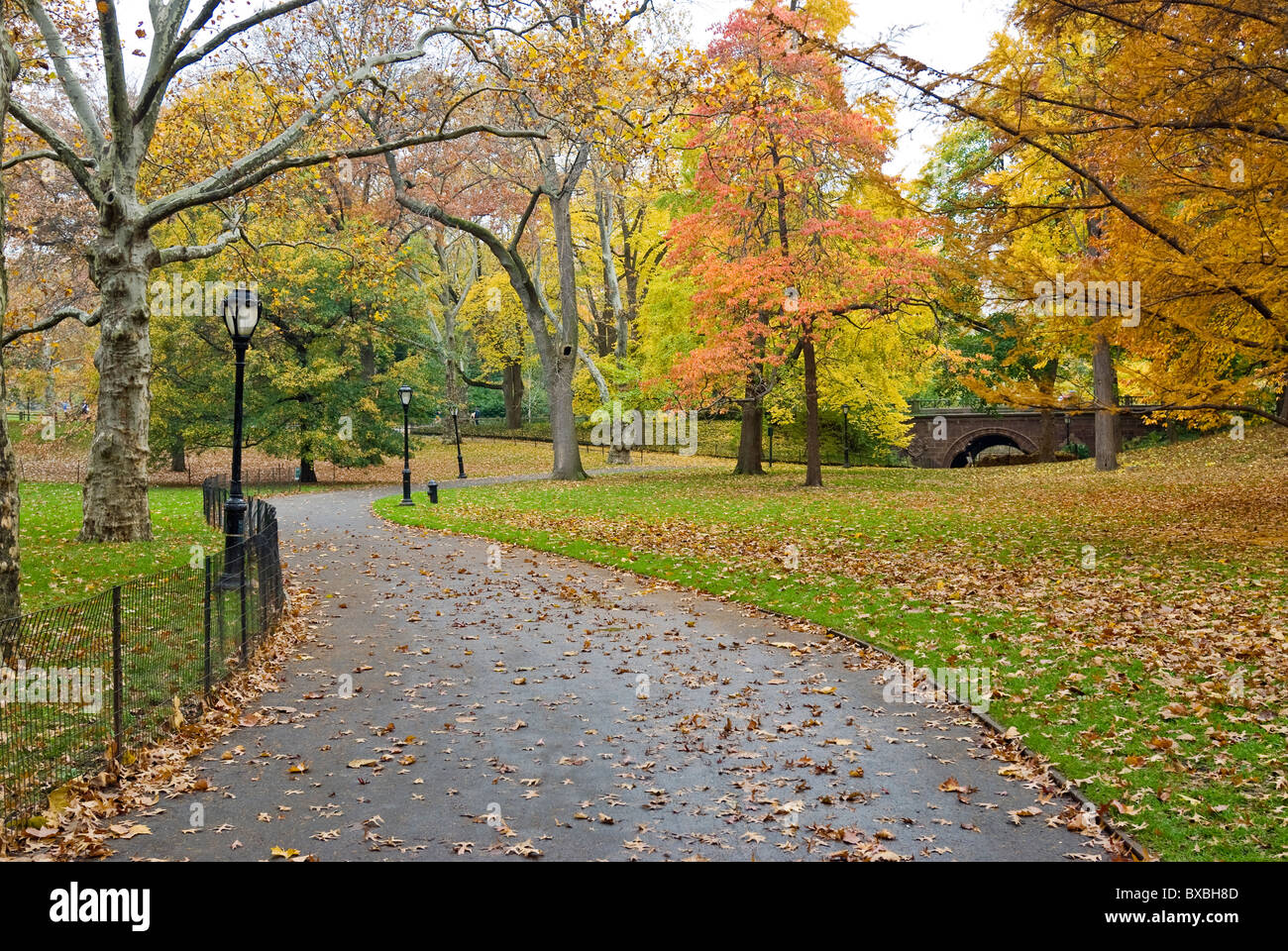 Central Park, New York City. Banque D'Images