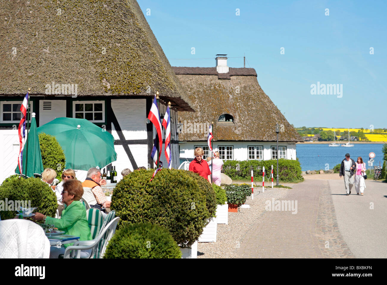 Maisons d'Adobe à Sieseby à la mer Baltique Fjord Schlei dans le Nord de l'Allemagne Banque D'Images