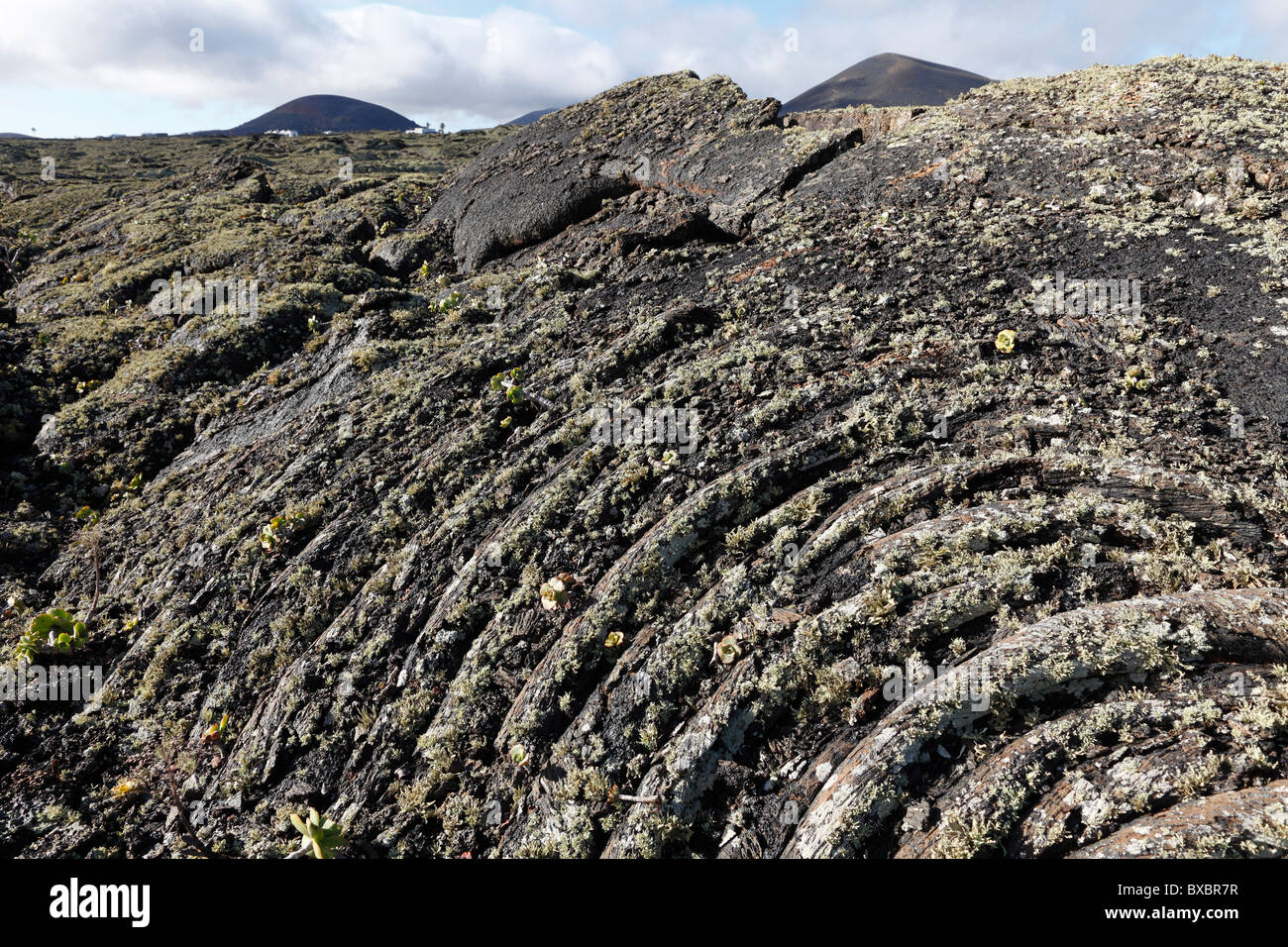 Ropy lava avec les lichens, Lanzarote, Canary Islands, Spain, Europe Banque D'Images