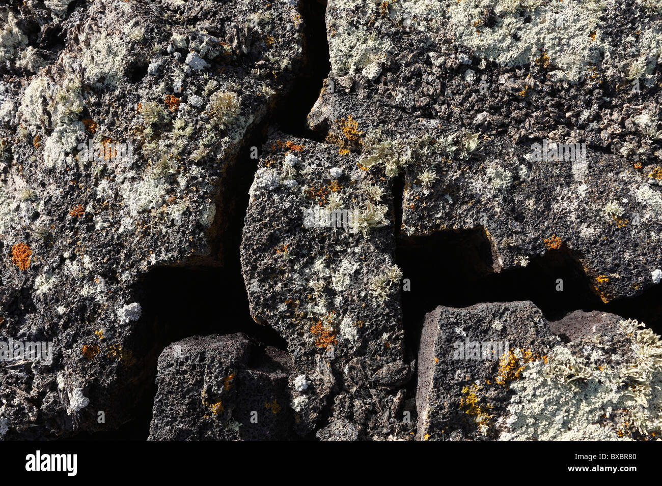 Fissures dans un champ de lave avec les lichens, Lanzarote, Canary Islands, Spain, Europe Banque D'Images
