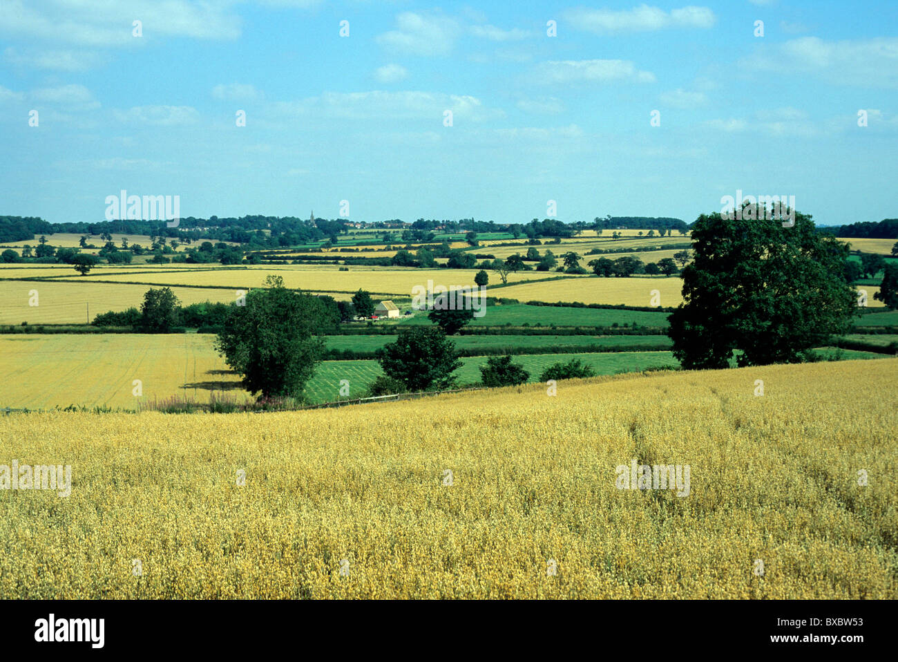 Bataille de Bosworth Leicestershire Angleterre Royaume-uni promenades, sentiers sentiers English-de-Bataille historiques de champs de batailles bataille Banque D'Images