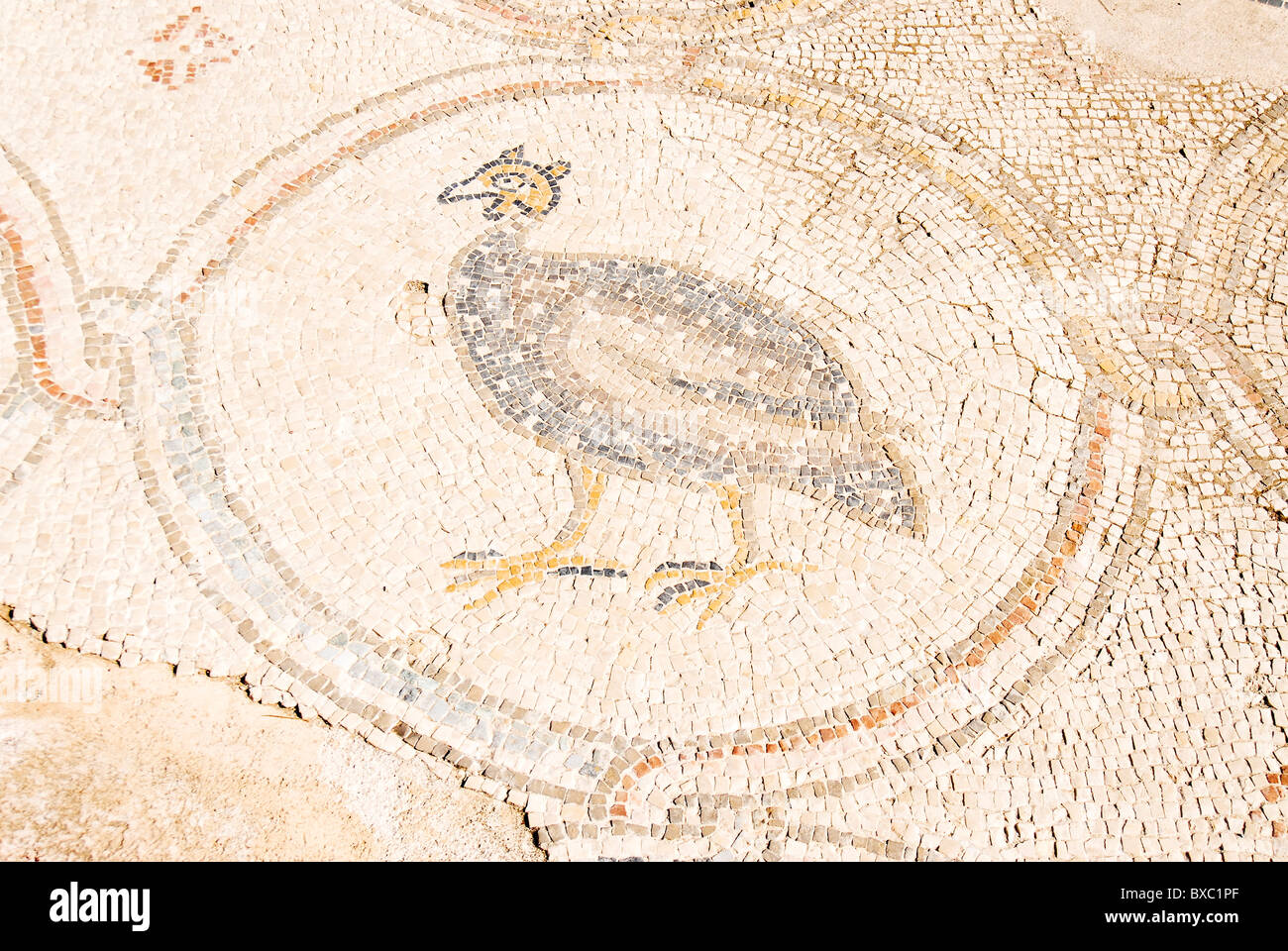 Le Palais de la "mosaïque" un oiseau 14,5 x 16m de chaussée d'une villa datant de la période Byzantine, Banque D'Images