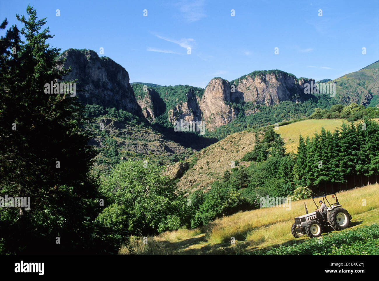 Parc naturel régional du Haut Languedoc, Hérault, France Photo Stock - Alamy