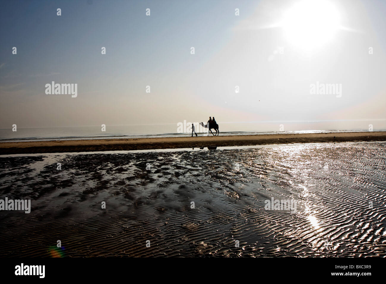 Un Indien avec un chameau sur une plage à Mandvi, Gujarat, Inde Banque D'Images