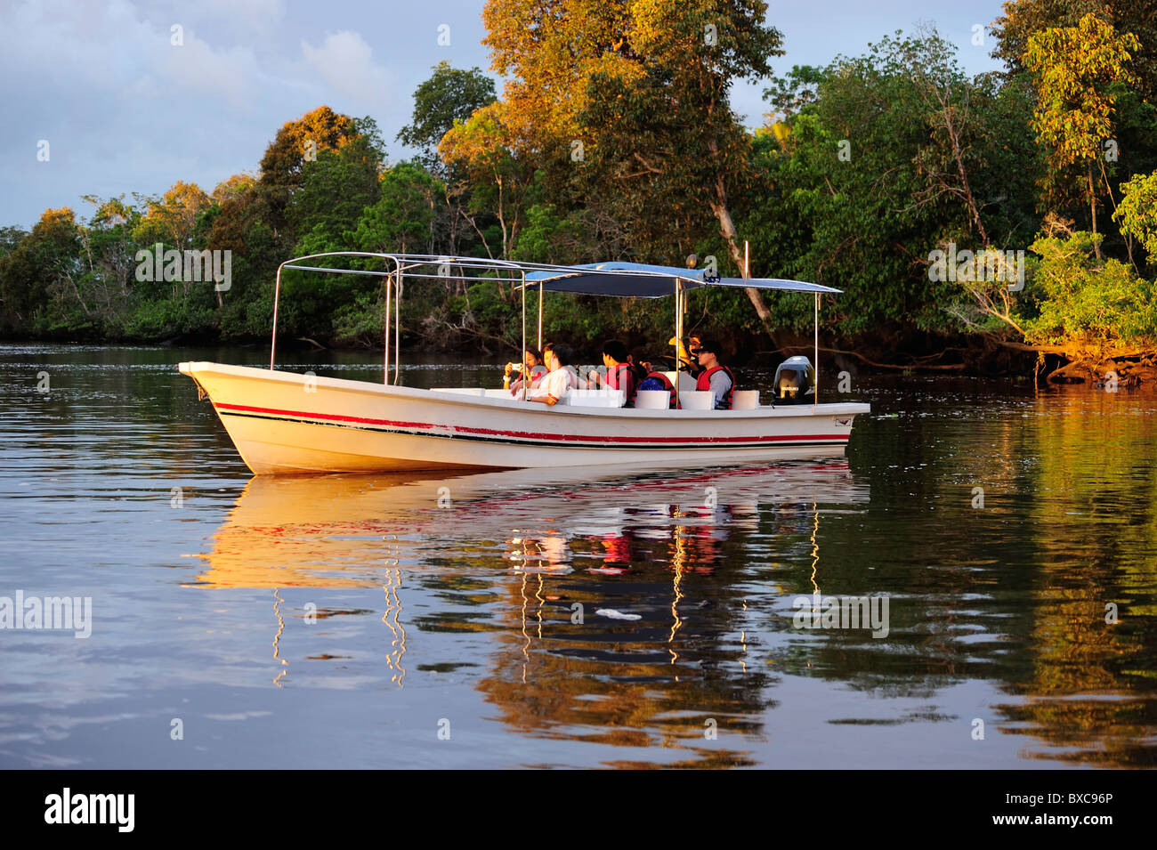 L'observation de la faune sur la rivière Klias près de Beaufort au sud-ouest de Sabah Banque D'Images
