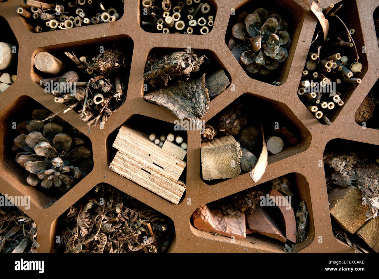 L'Associé ARUP Bug Hotel Design situé à St Dunstan's dans l'Est. Banque D'Images