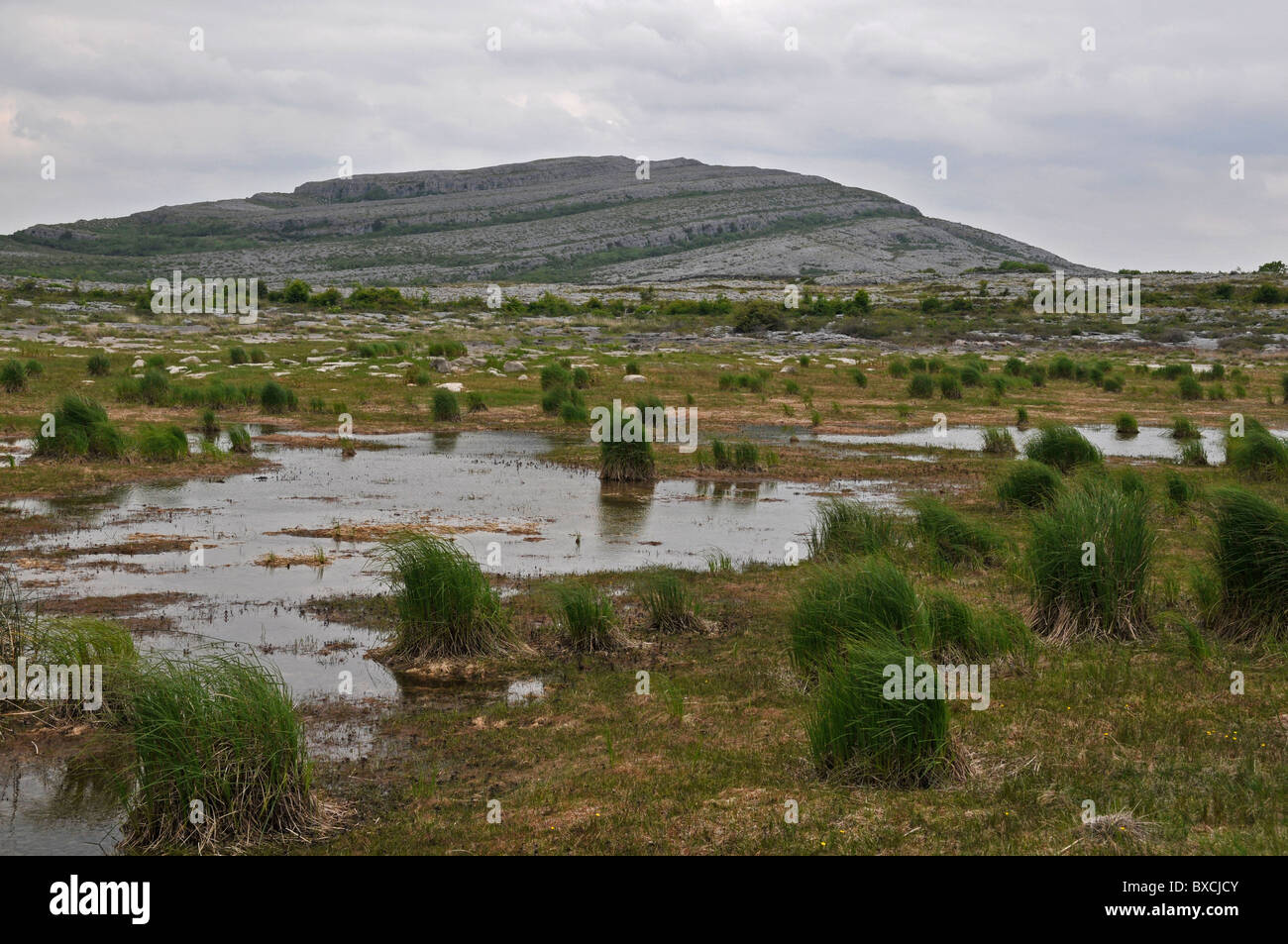 Turlough, commençant à sécher. Le Burren, comté de Clare, Irlande Banque D'Images