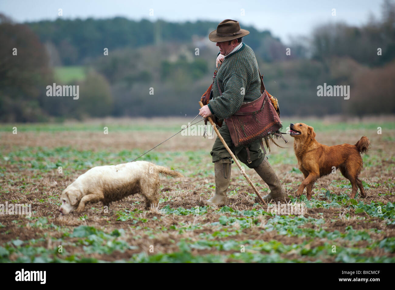 Le Pheasant Shoot Banque D'Images
