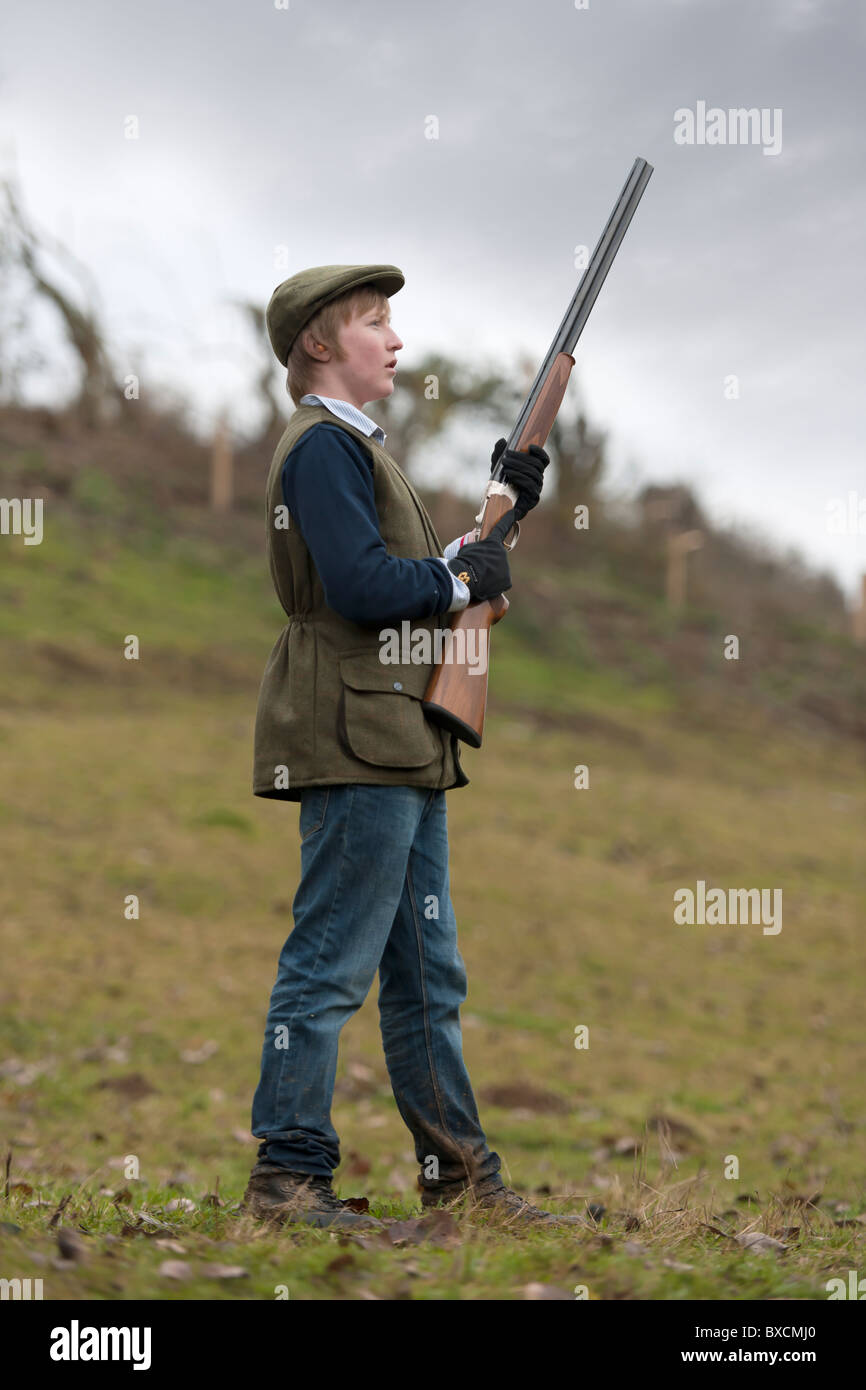 Les jeunes pousses du faisan - Armes à feu Banque D'Images