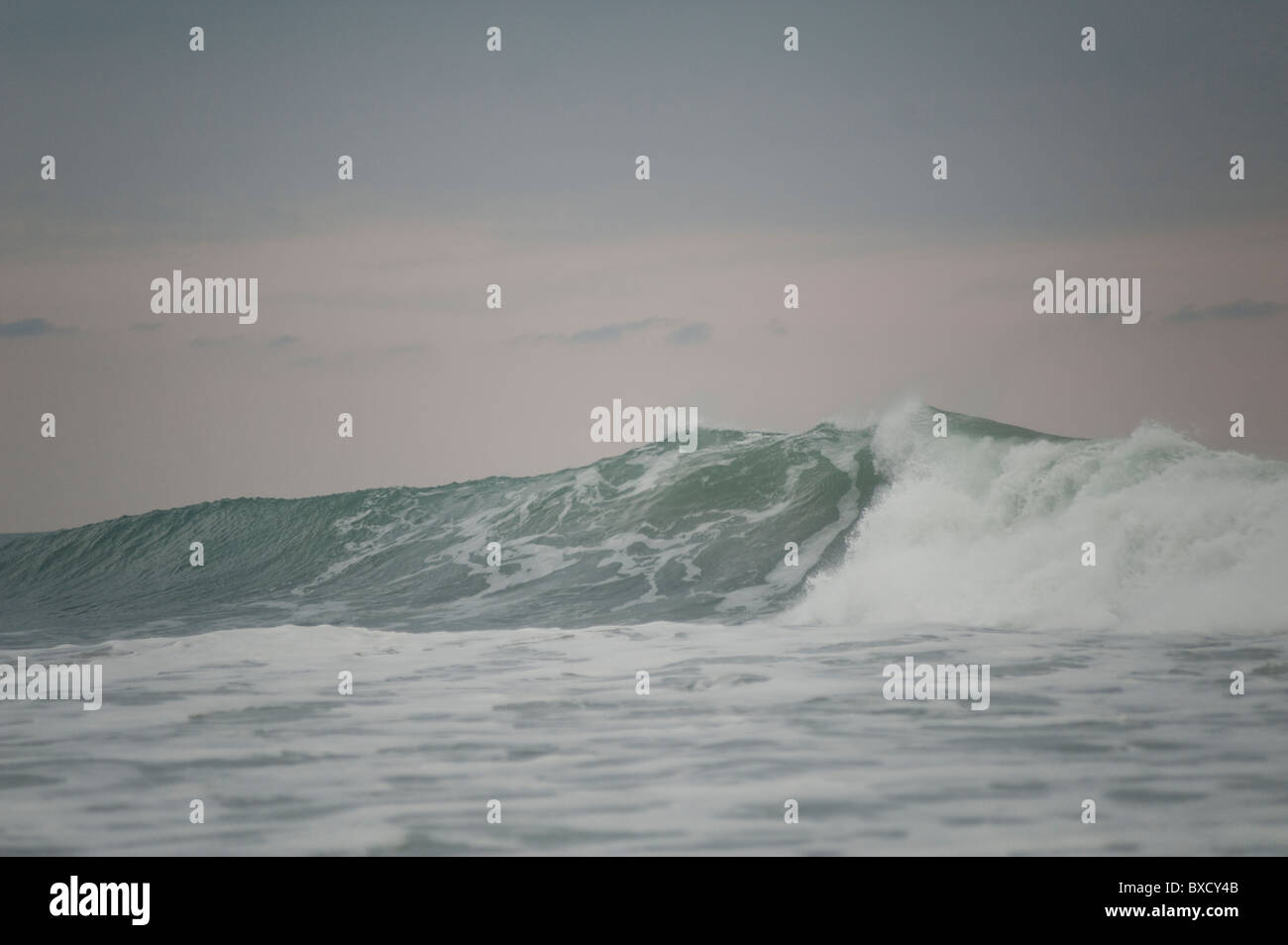 Le long du littoral marin Mal Pais à San Jose Costa Rica Banque D'Images