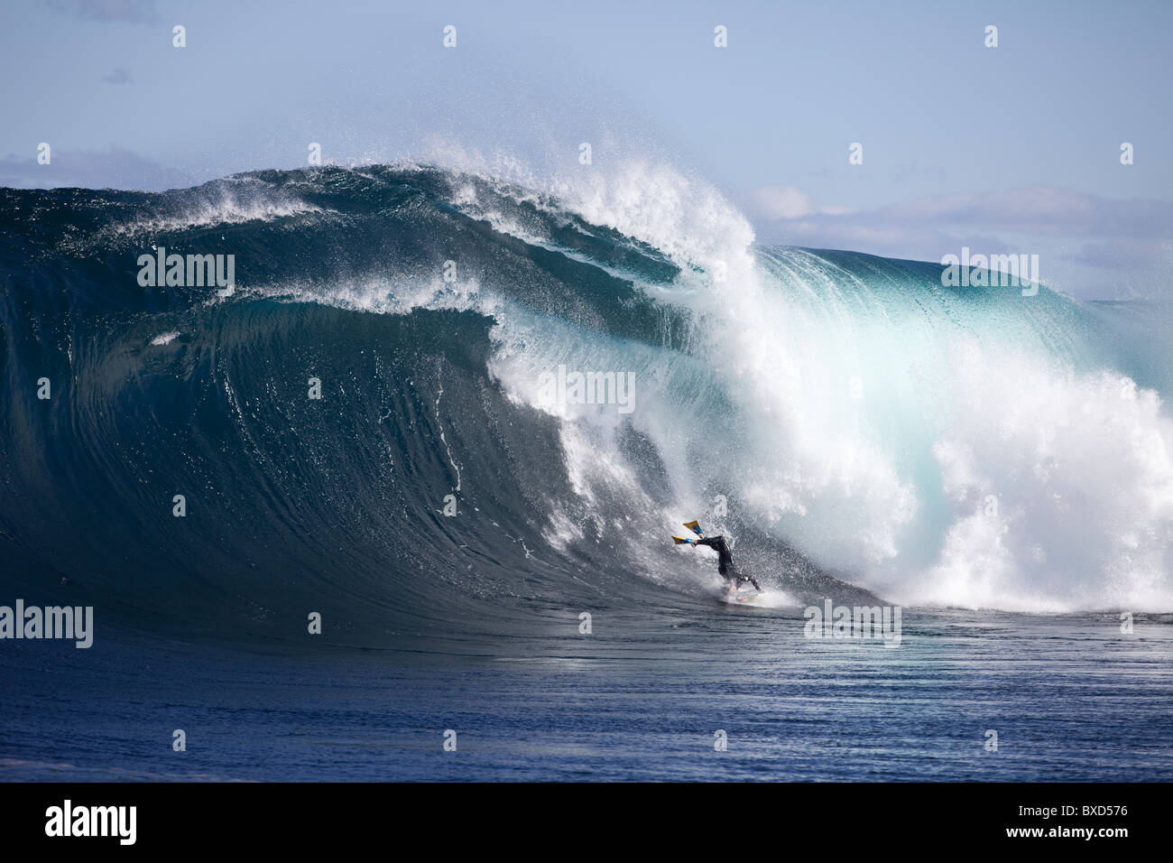 Un surfer bodyboard une dangereuse vague à Shipstern bluff en Tasmanie. Banque D'Images