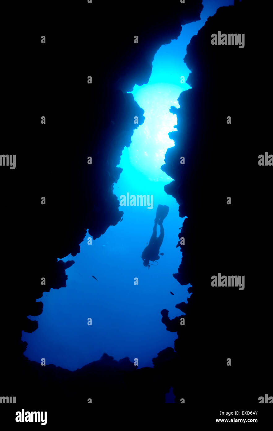 Plongee Sous Marine Dans Le Canyon Canyon Dahab Mer Rouge Egypte Photo Stock Alamy