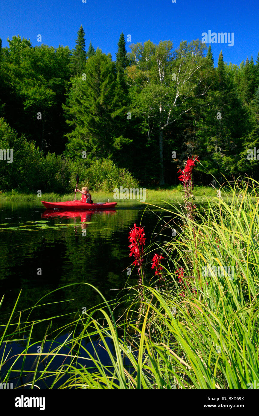 La kayakiste en rouge voile sur Big Brook, parc des Adirondack, NY, USA, avec l'accent sur les herbes. Banque D'Images