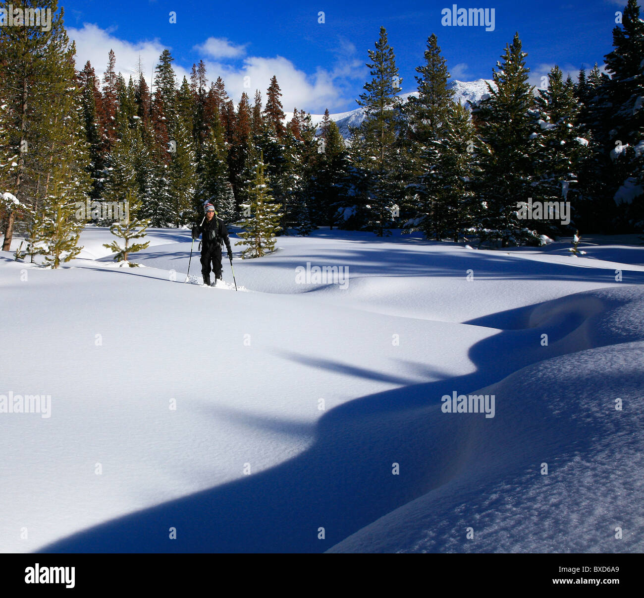 Snowshower près de Winter Park, Colorado, avec la ligne de montagnes en arrière-plan. Banque D'Images