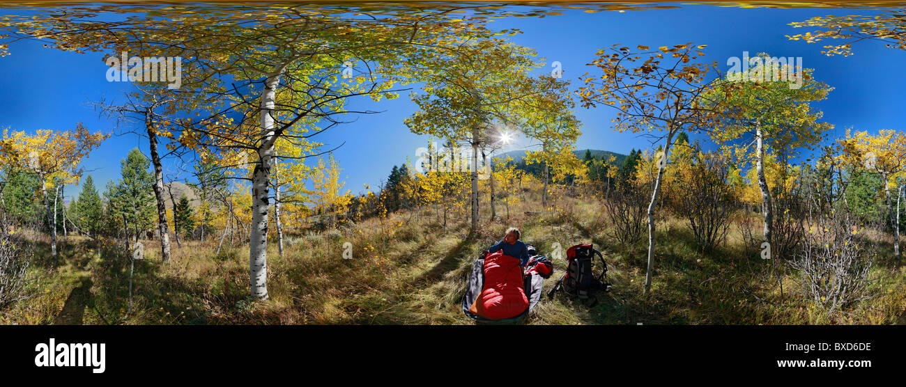 Camping-se réveiller sur un matin ensoleillé dans la forêt nationale de Bridger-Teton, WY, États-Unis d'Amérique Banque D'Images