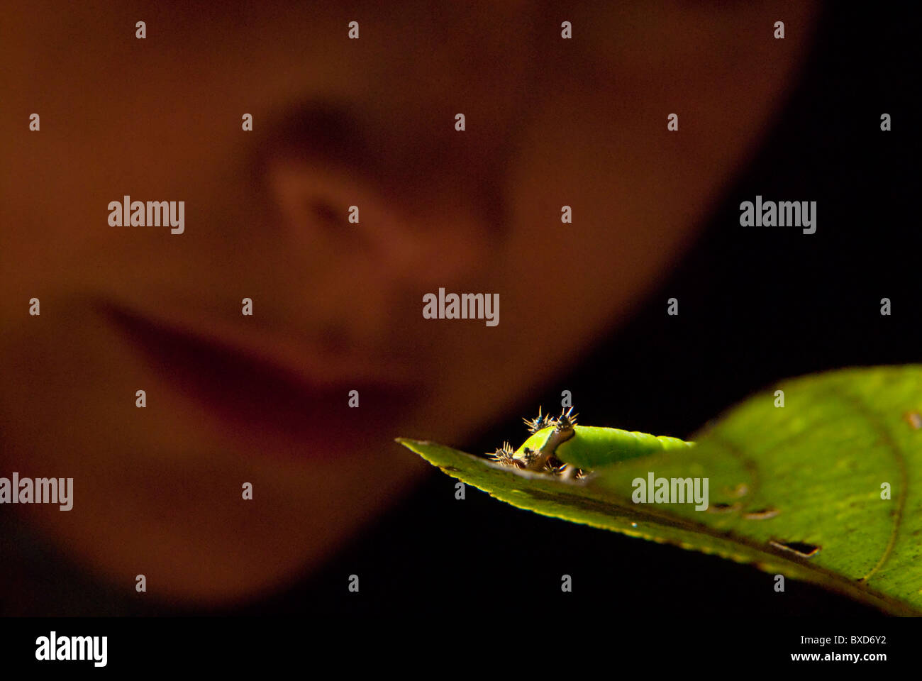 Une jeune femme regarde une chenille verte dans la forêt amazonienne. Banque D'Images