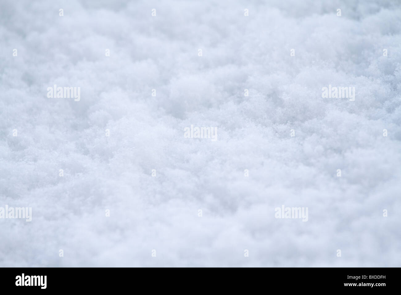 Chutes de neige et la texture de fond close up Banque D'Images