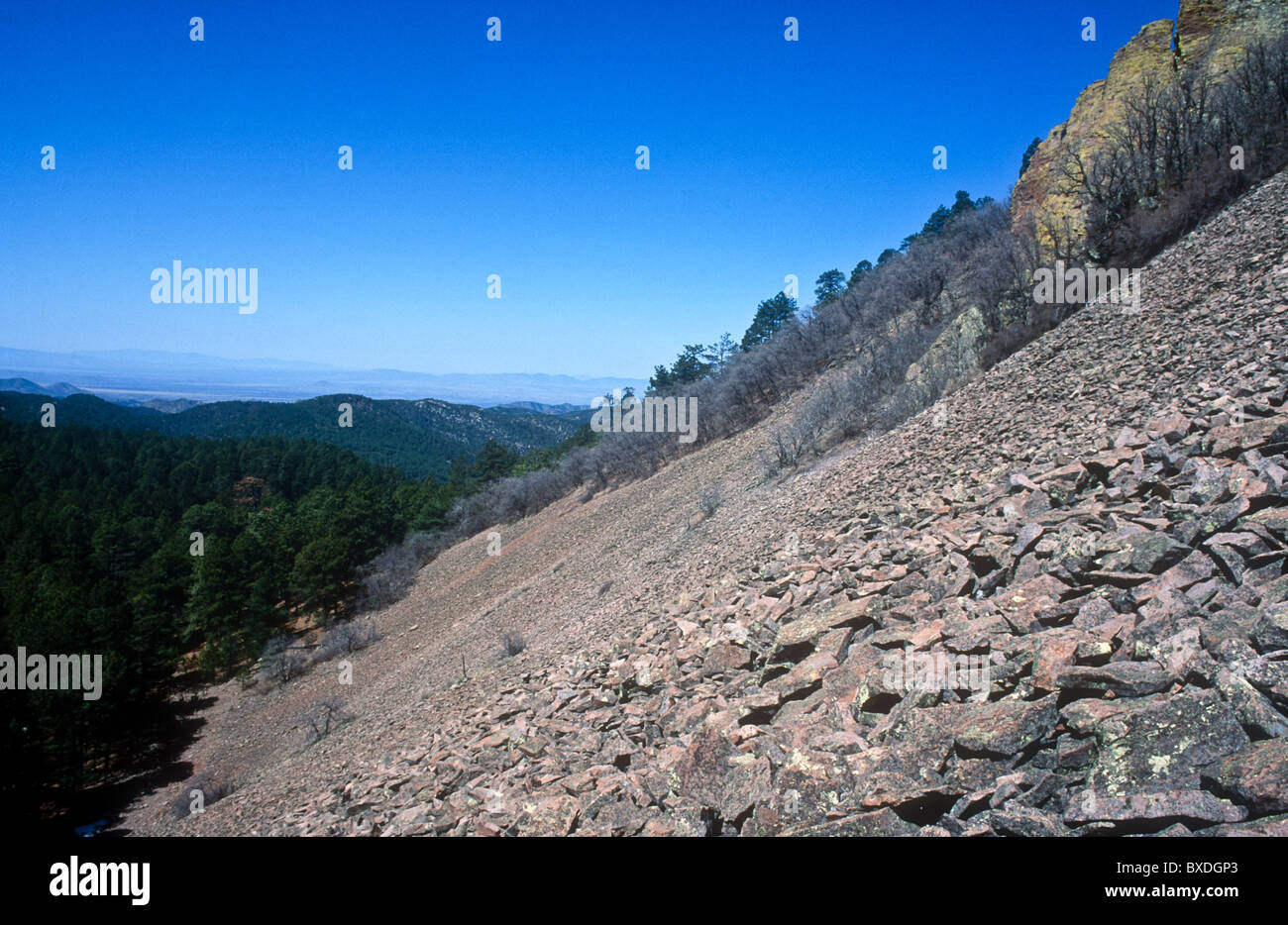 Barfoot, montagnes Chiricahuas, Arizona, USA Banque D'Images