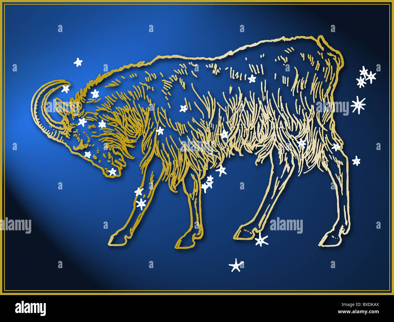 Signe astrologique Capricorne Banque D'Images