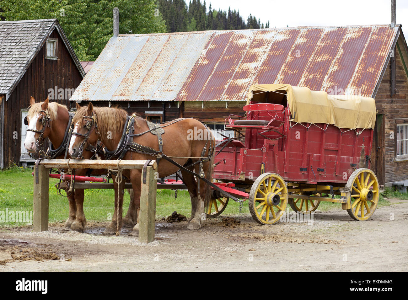 Chariot tiré par des chevaux dans la ville historique de Barkerville, British Columbia, Canada Banque D'Images