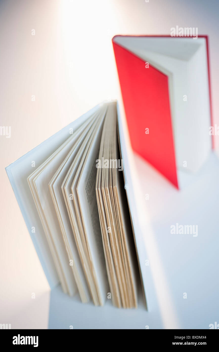 Deux livres Banque D'Images