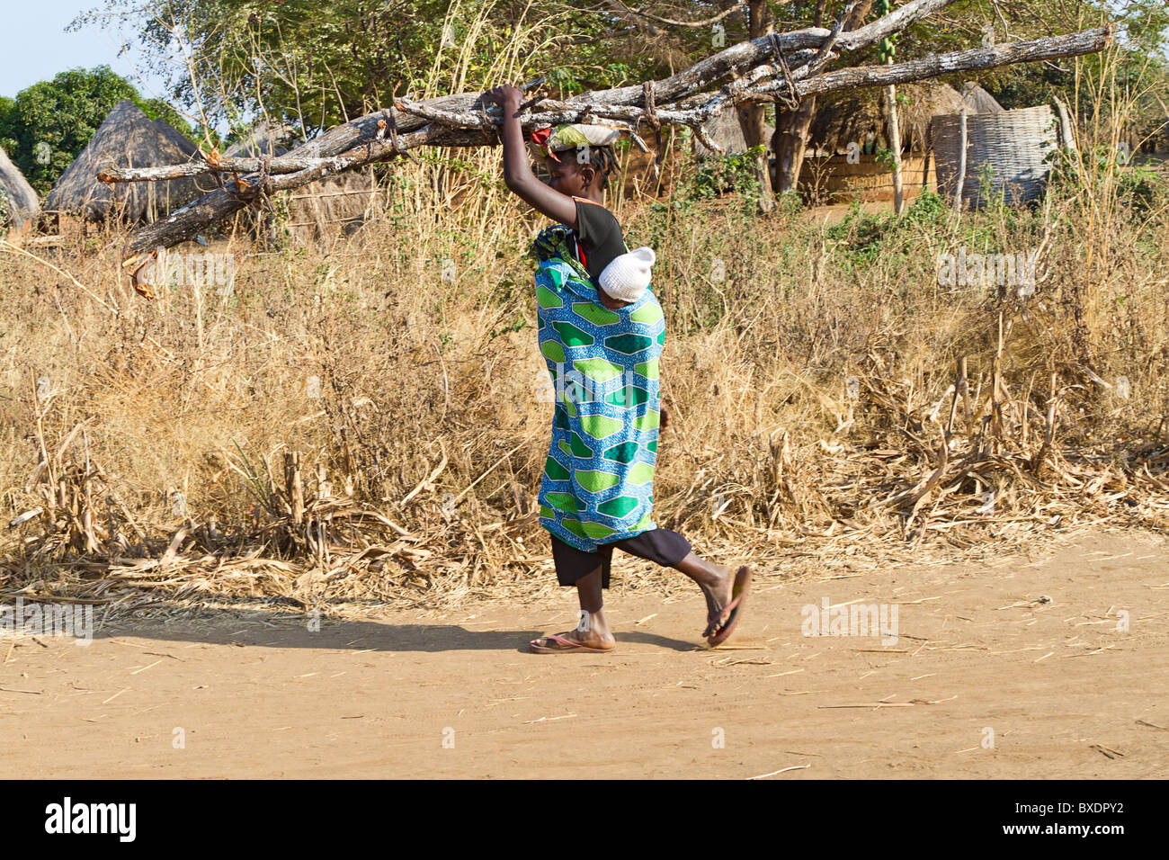 Femme porte le bois pour cuire les incendies dans son village, Kawaza, la Zambie, l'Afrique. Ces femmes sont de la tribu Kunda. Banque D'Images