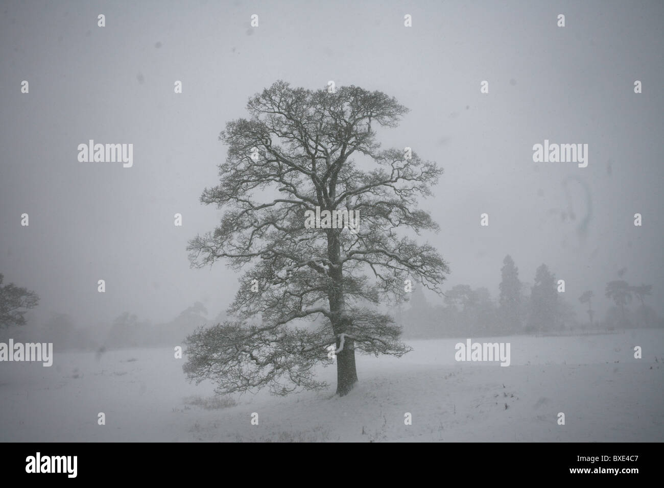 Wallingford oxfordshirein la neige stuart emmerson Banque D'Images