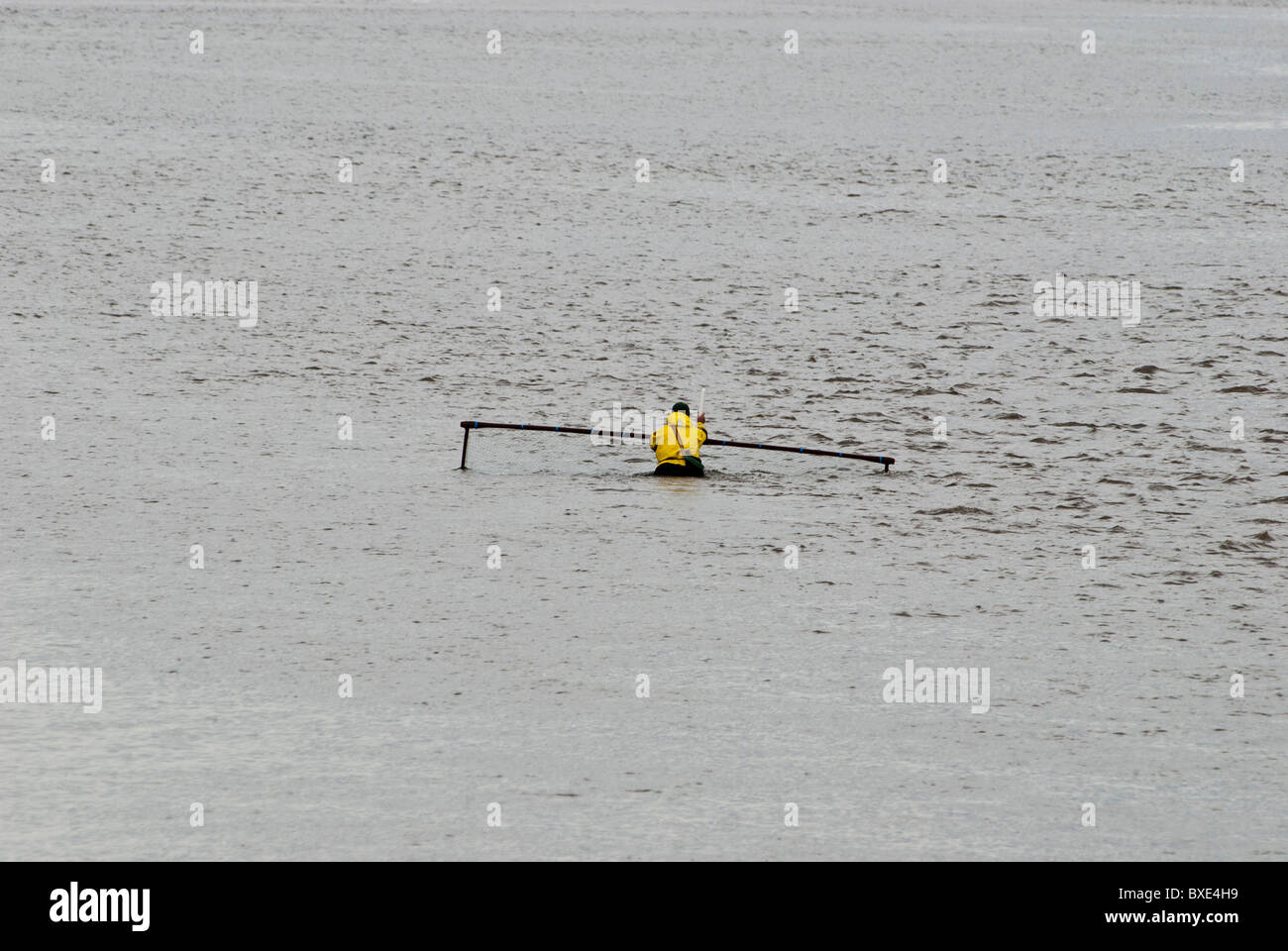 1 homme Haaf Capture pour que le saumon sur l'estuaire de la rivière Nith Glencaple, Dumfries et Galloway, au sud-ouest de l'Écosse. Uk Solway Firth Banque D'Images