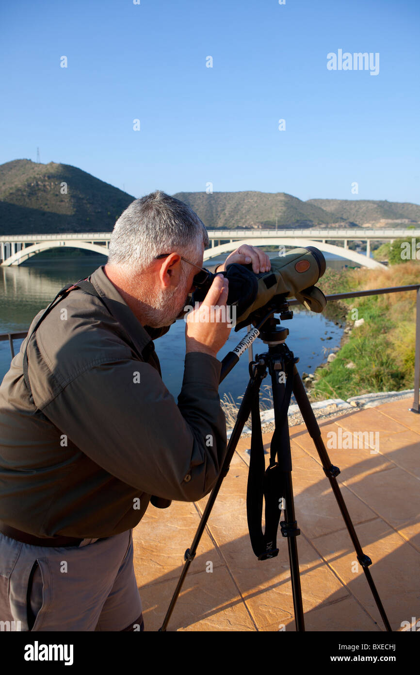 L'observation des oiseaux de la rivière Ebre Catalogne Espagne Banque D'Images