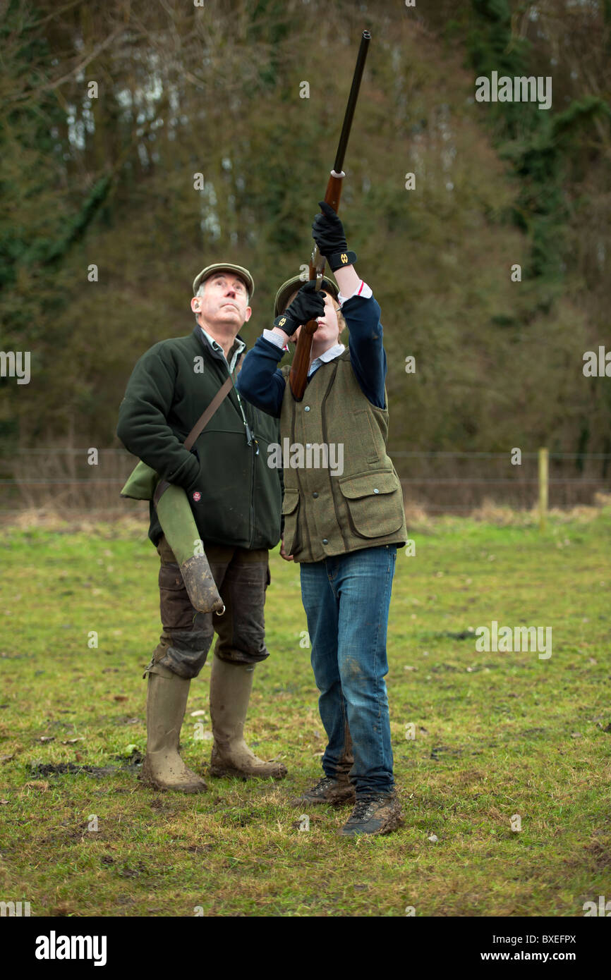 Les jeunes pousses du faisan - Armes à feu Banque D'Images