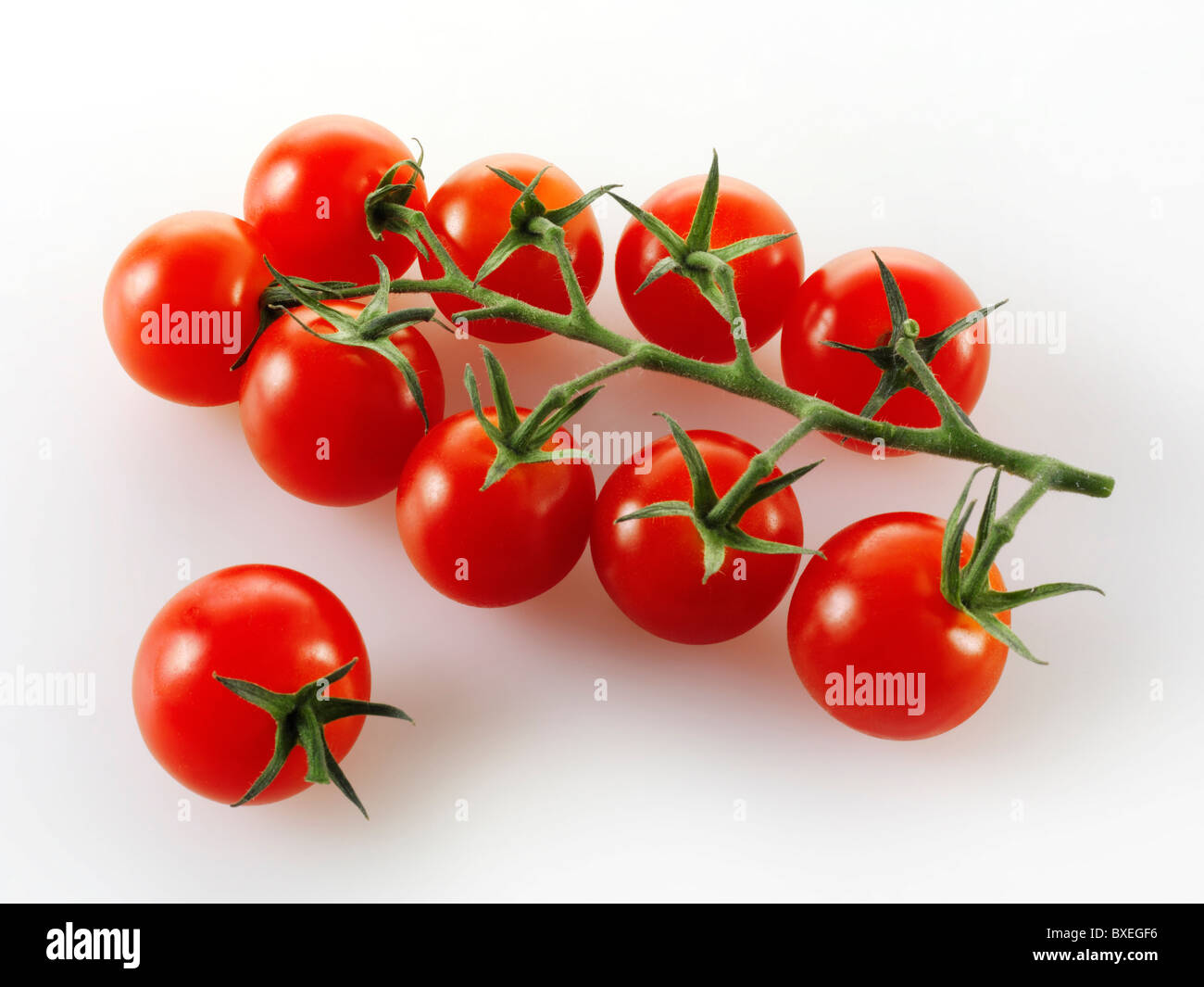 Tomates en Vittoris Banque D'Images