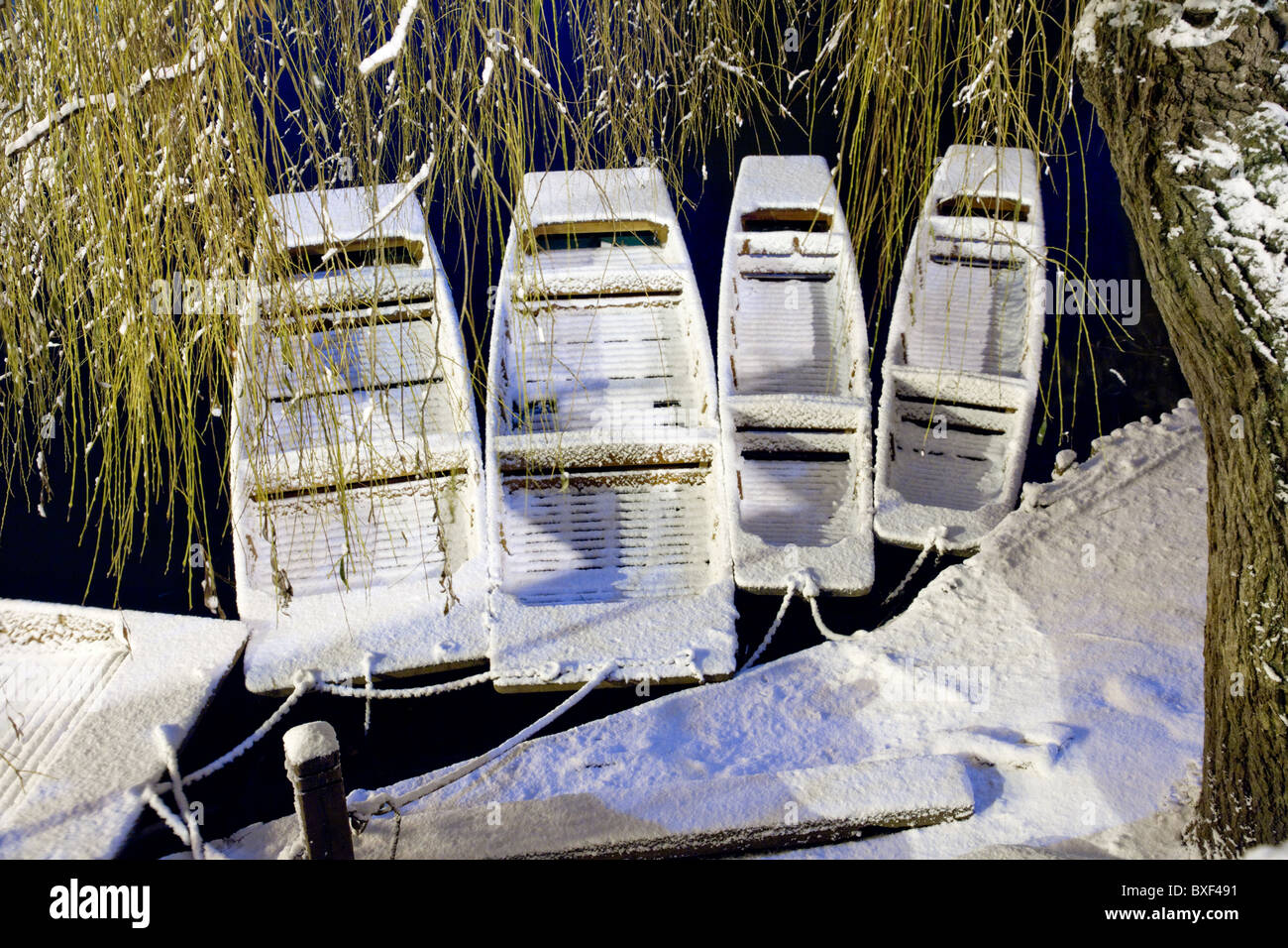 Plates couvertes de neige flottent sur la rivière Cam à l'abri sous un saule à Cambridge dans la nuit Banque D'Images