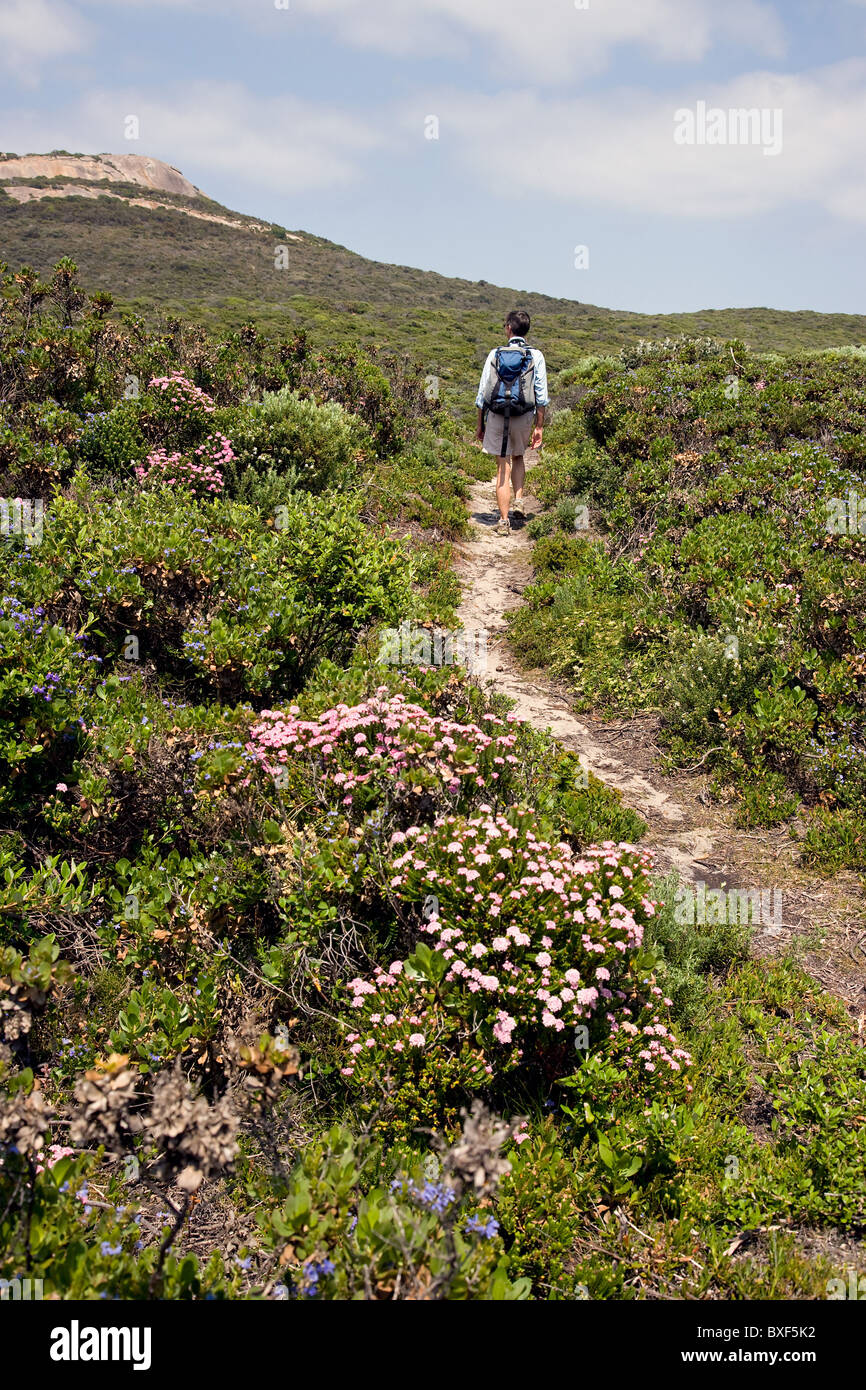 Femme marche à travers un paysage fleuri bush vers la tête de pointe dans le Torndirrup National Park près d'Albany dans l'ouest de l'Australie Banque D'Images