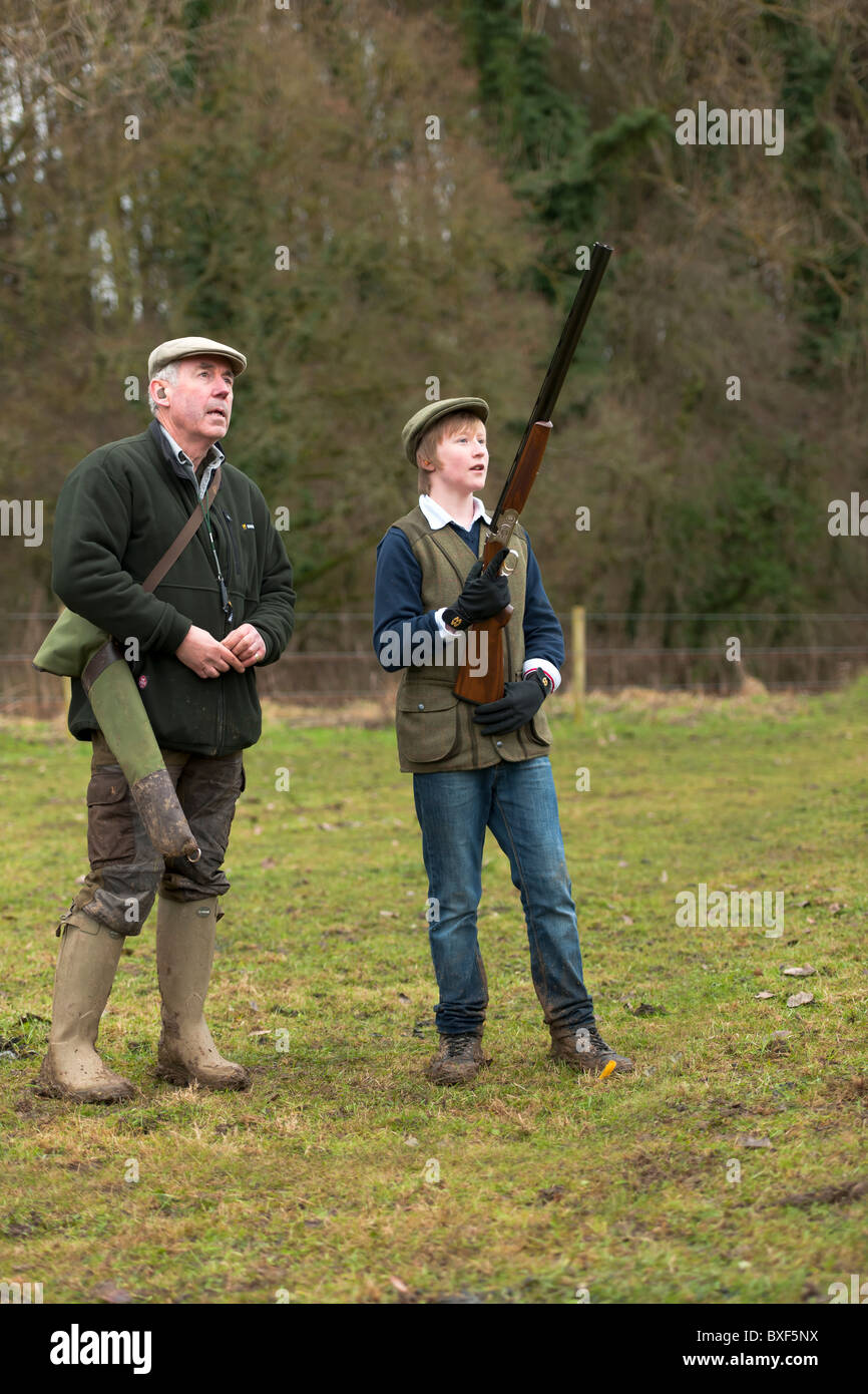 Les jeunes pousses du faisan - Armes à feu Banque D'Images