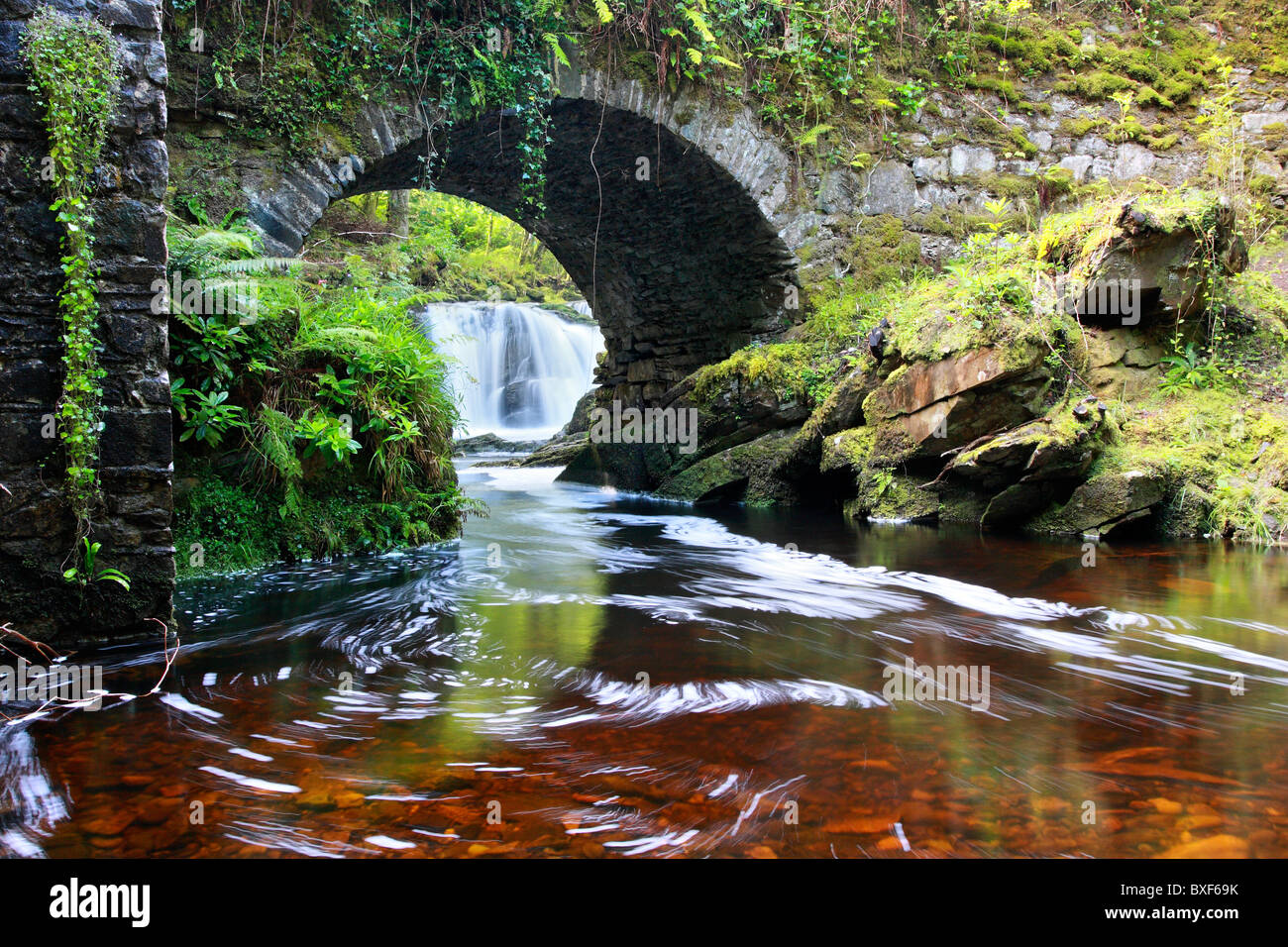 Torc Waterfall dans le Parc National de Killarney, Irlande Banque D'Images