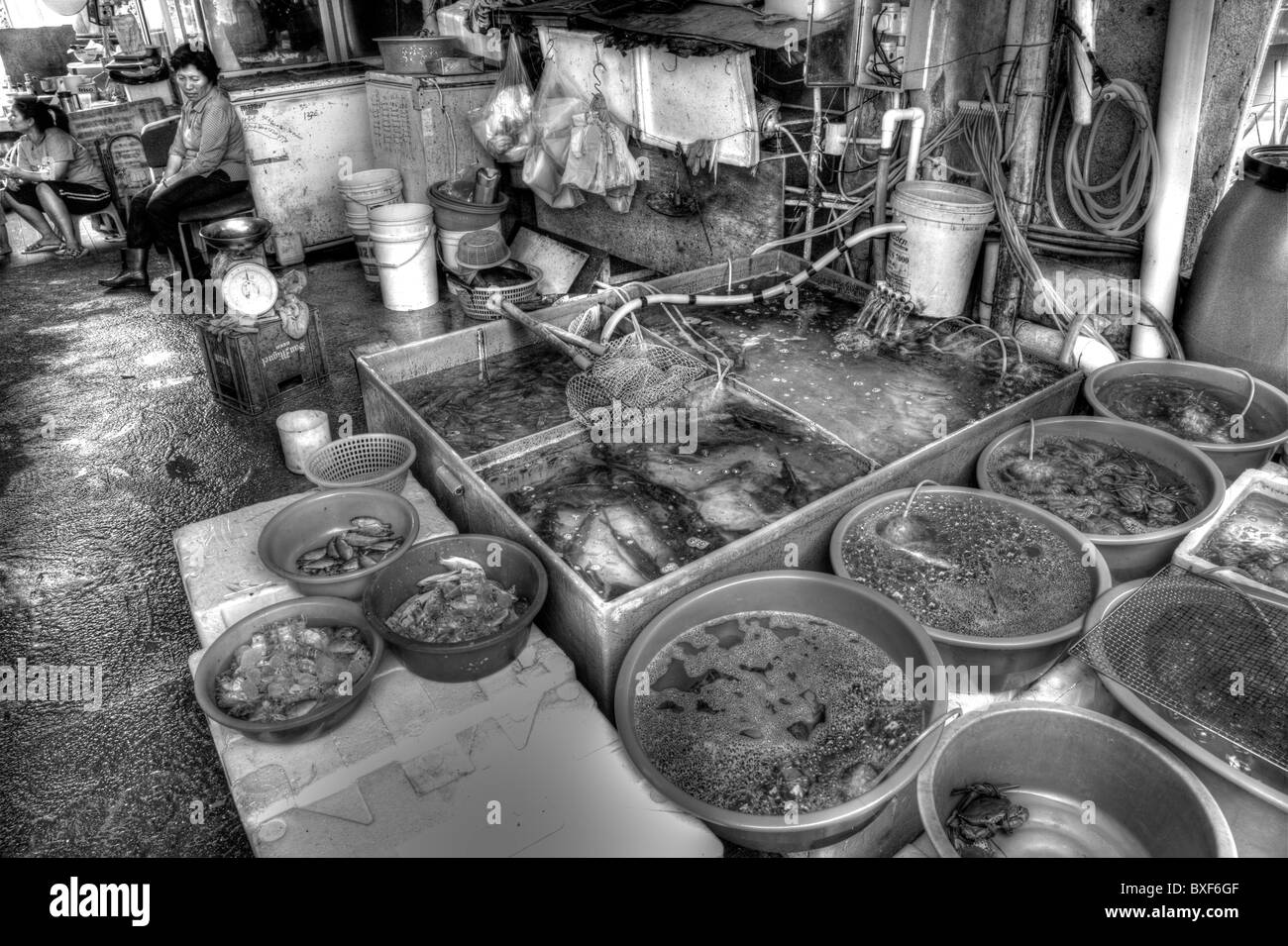 Échoppe de marché sur l'île de Lantau Tai O, Hong Kong. Dame vendant du poisson frais vivent dans de petits bols, maintenus en vie Banque D'Images